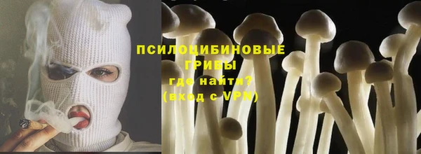 кокс Аркадак