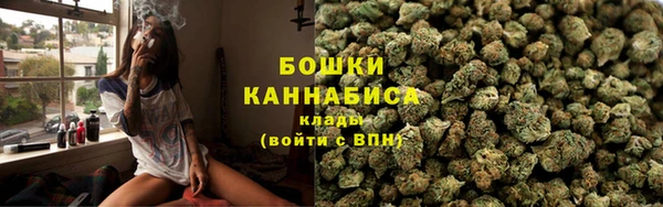шишки Армянск