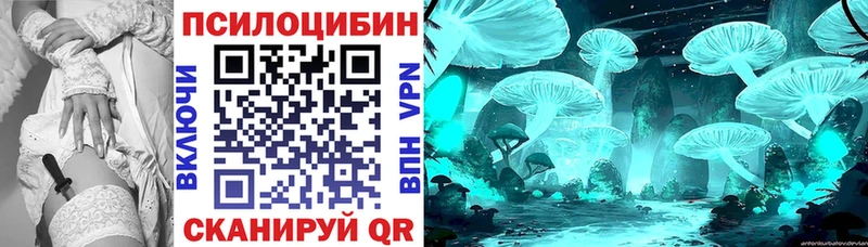 где найти наркотики  Барабинск  Псилоцибиновые грибы прущие грибы 