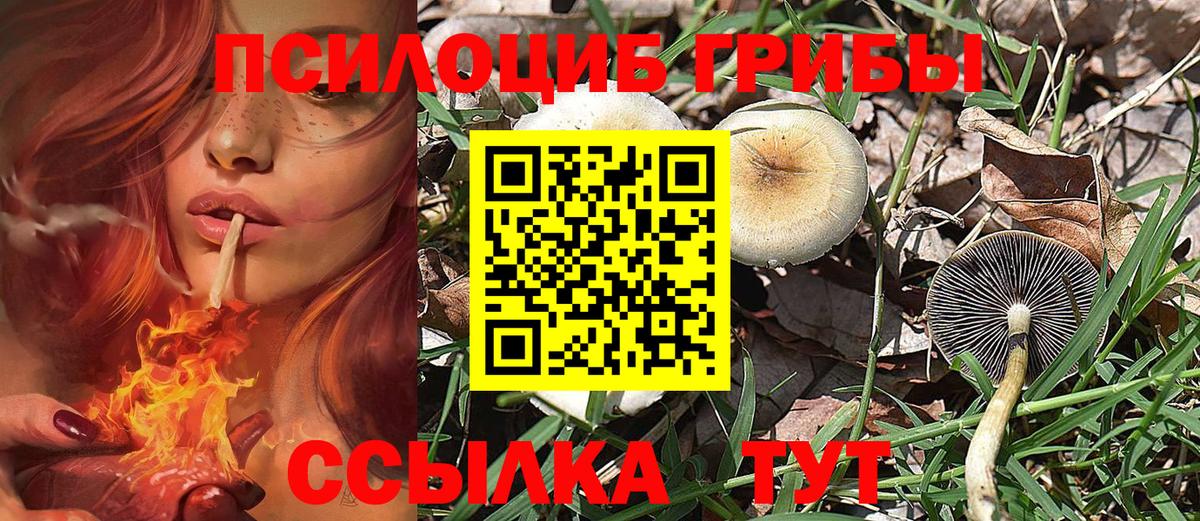 Галлюциногенные грибы мицелий Барабинск